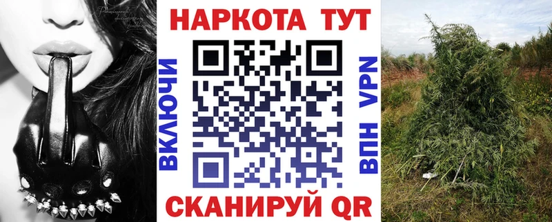 Где можно купить наркотики Новошахтинск СОЛЬ  ГАШИШ  Бутират  КЕТАМИН  Псилоцибиновые грибы  COCAIN 