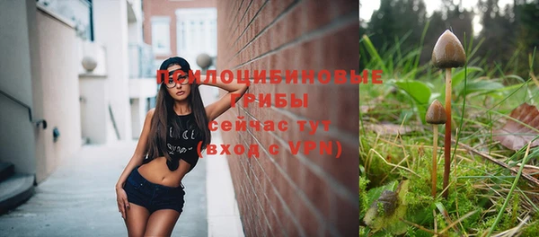 молекула духа Алексин