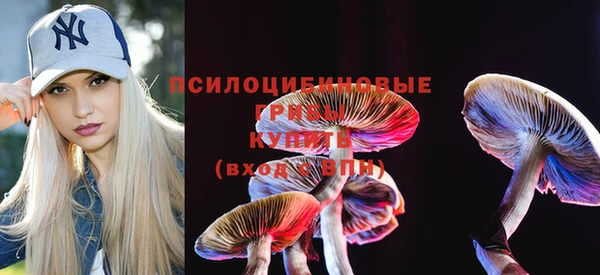 тгк Алексеевка