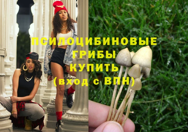 тгк Алексеевка