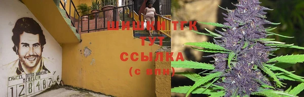 тгк Алексеевка