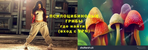 молекула духа Алексин