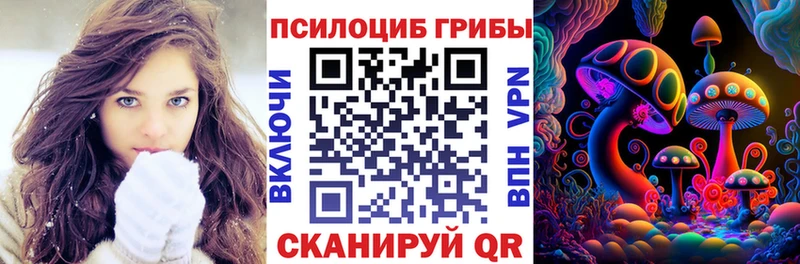 Псилоцибиновые грибы ЛСД Новошахтинск